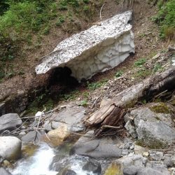 今シーズン初の尺イワナ